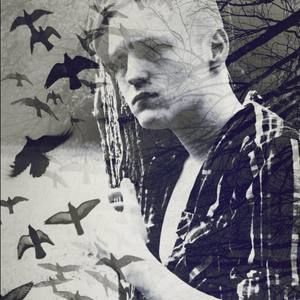 Meet your Posher, Shane